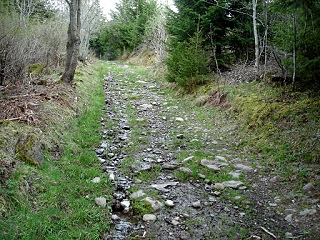 Chemin du buron