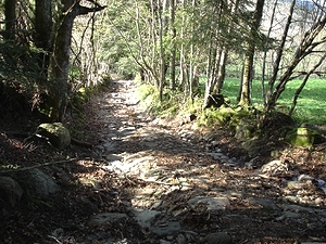 Descente vers le ruisseau