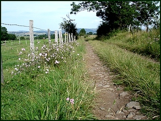 Joli chemin