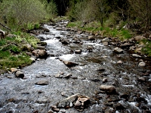 En aval du pont