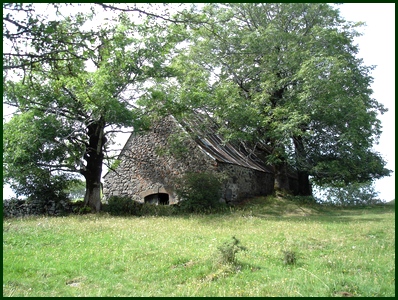 Buron près de Salers