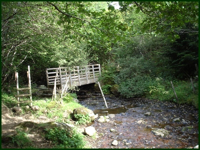 Passerelle sur le ruisseau