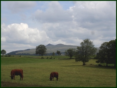 Vue sur le Puy Violent