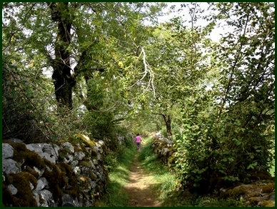 Sentier près de Salers