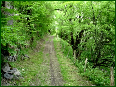 Chemin à Laveissière