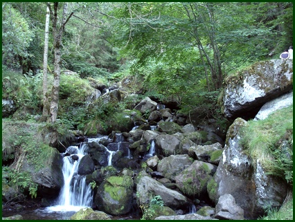 Torrent près du moulin