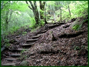 sentier aménagé