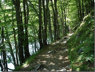 sentier lac Pavin