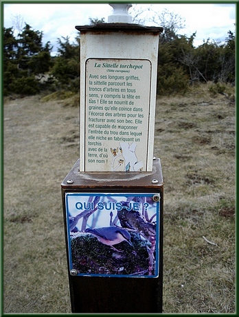 Panneau sur sentier d'interprétation