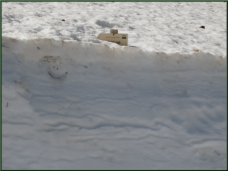 Signalétique du circuit sous la neige