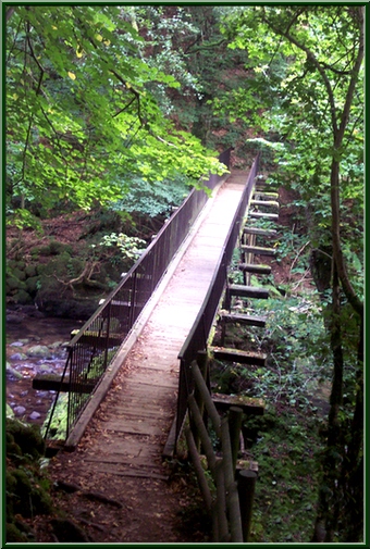 Passerelle sur la Cère