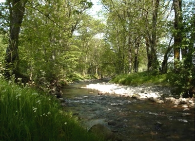 Rivière