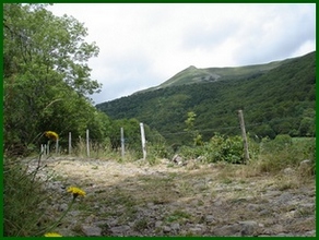 Chemin vers le cascade