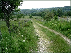 Le chemin de la cascade