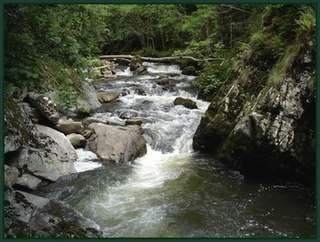 Ruisseau à Oradour