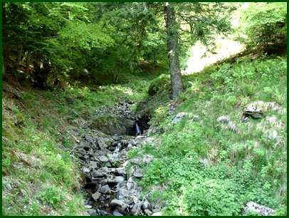 Source de l'Alagnon