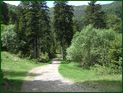 Sentier aux sources de l'Alagnon