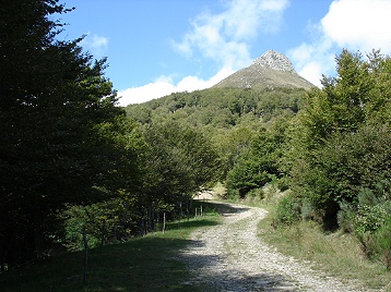sentier vers le Puy Griou