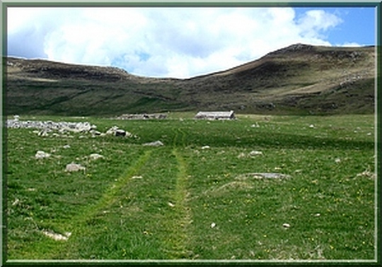 Buron sur le chemin du Plomb du Cantal