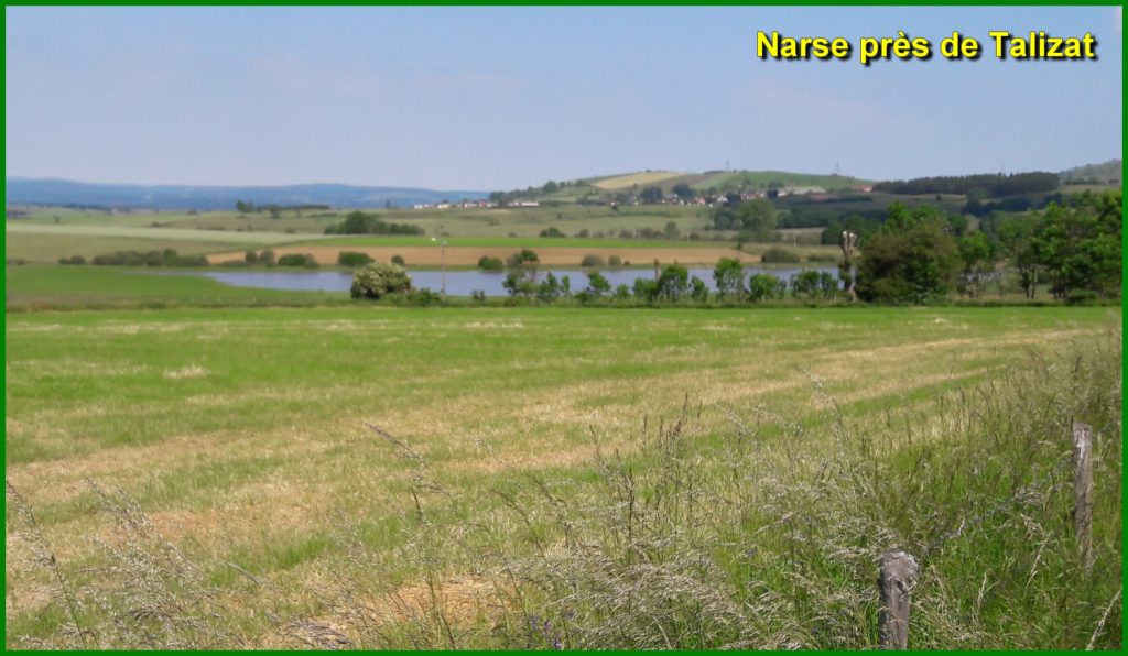 Narse de Pierrefitte