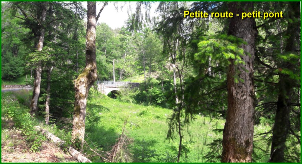 Petit pont