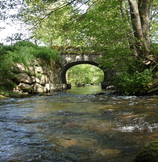 Pont sur l'Alagnon