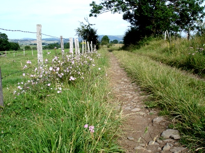 Sur le chemin du Suc de Lagarde