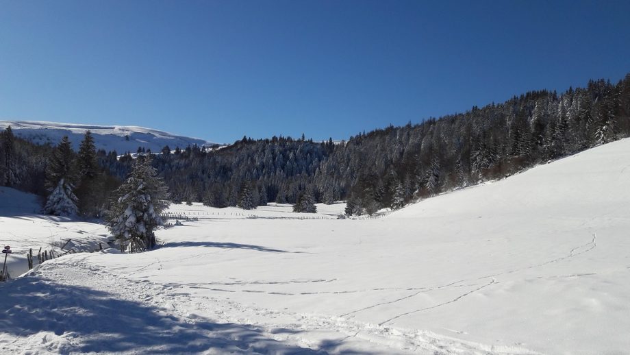 prés au bord du ruisseau