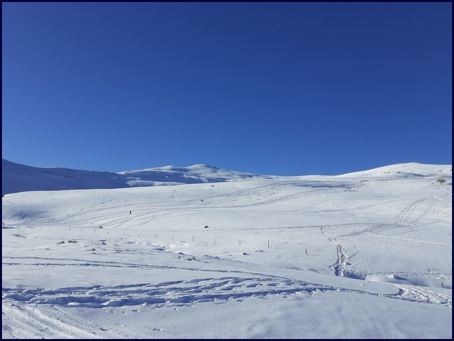 vue sur le Plomb du Cantal