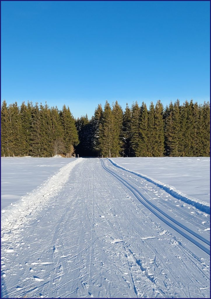 Sortie du bois vers le plateau